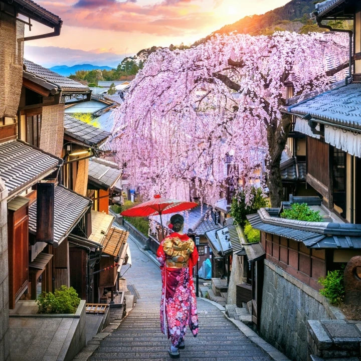 Japonia Cireșilor Înfloriți, plecare din Cluj Napoca